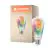 Ledvance Smart+ Mater E27 ST64 4.8W 470lm - 827-865 Variable Blanc | RGBW - Dimmable - Équivalent 40W